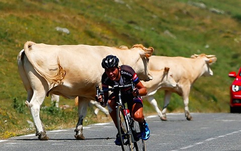 【ツール・ド・フランス15】総合9位バルギル、2日連続で遅れを挽回…牛との激突も回避 画像