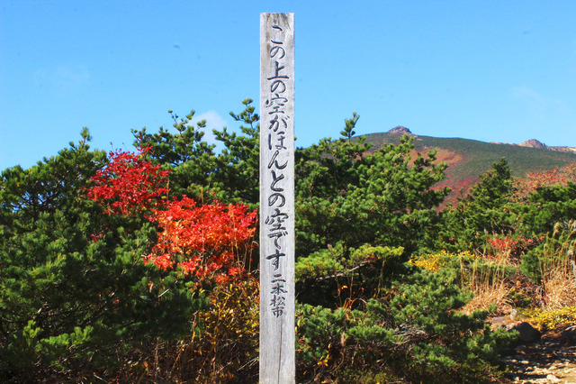 【小さな山旅】「ほんとの空」が見える山…（福島県・薬師岳） 画像