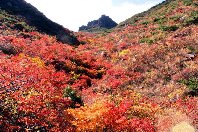 【小さな山旅】イロトリドリの世界を歩く紅葉ハイク…福島県・安達太良山（2） 画像
