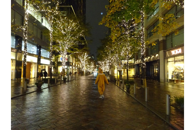 【やってみた】クリスマスのイルミネーション、丸の内、表参道、目黒川 画像