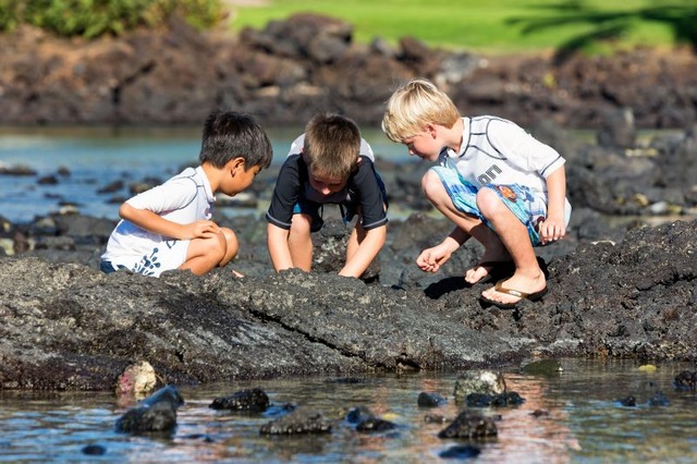 子ども向け「クラブ・ケイキ・サマーキャンプ」がハワイで開催 画像