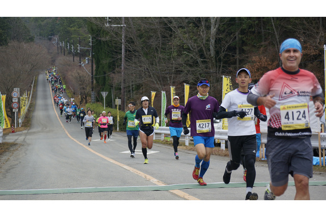 累積標高694mのハーフマラソン「京都高雄マウンテンマラソン」12月開催 画像