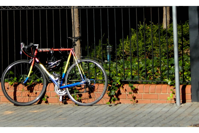 【自転車のある風景】「知らなかった」は通用しない。豪州自転車乗りのルール 画像