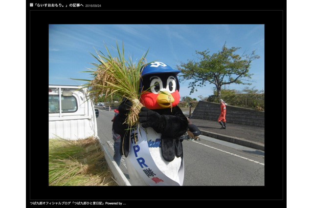 ヤクルト・つば九郎「ほうさくだぜぇ！」…つば九郎米の稲刈り報告 画像