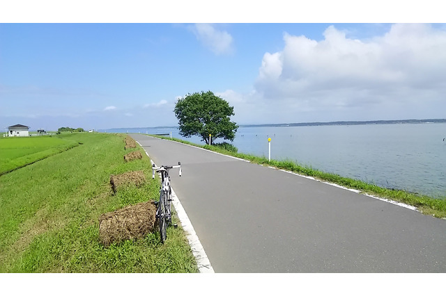 【山口和幸の茶輪記】茨城・つくば「りんりんロード」でサイクリング…首都圏から日帰りできるパラダイス 画像