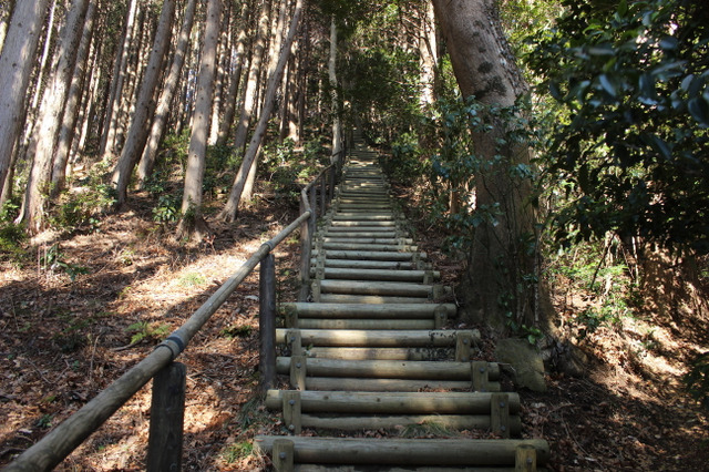 【小さな山旅】“かいだんこわい”…茨城県・仏頂山～栃木県・高峰（1） 画像
