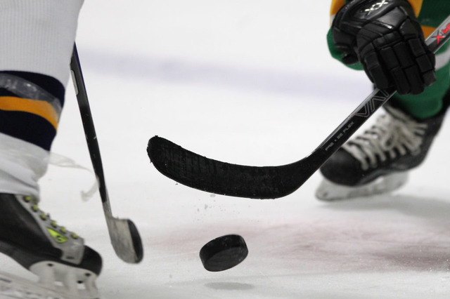 「宇野昌磨のハンパない演技が見たい」アイスホッケー・簑島圭悟がスケートを熱く語る 画像