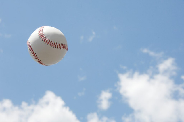 杉谷拳士が『野生化計画』を終えオーストラリアから帰国　現地では野球人気の高まりを実感 画像