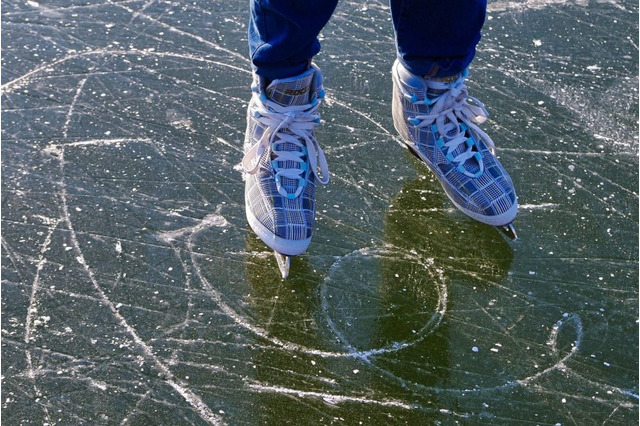 ダニエル・グラスル、新たな採点規定に言及 画像