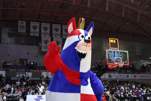 【Bリーグマスコット図鑑 #11】ゴーディー（琉球ゴールデンキングス） 画像