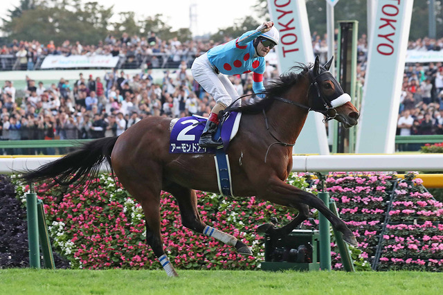 【競馬】アーモンドアイのラストランは11.29のジャパンC　三冠馬3頭が激突 画像