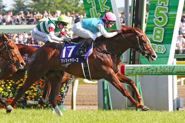 【競馬】マイルCS　データからルメール騎手以上に注目すべき騎手とは 画像