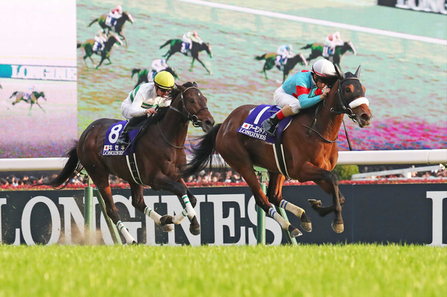 【競馬】ジャパンC　2着以内率『90%』が見込める騎手とは 画像