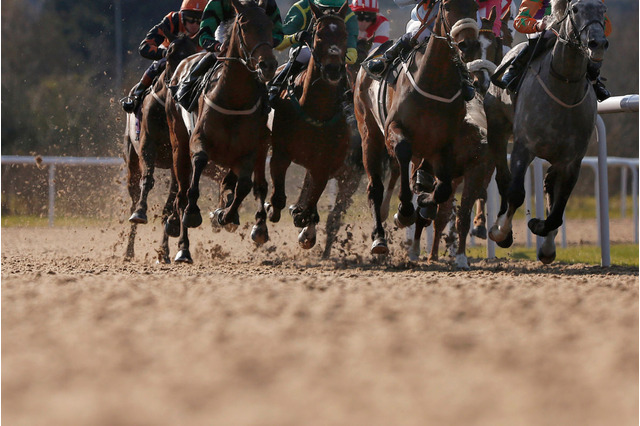 【競馬】チャンピオンズCは4番人気チュウワウィザードが優勝　クリソベリルは4着 画像