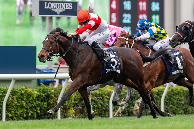 【競馬】香港国際競走 ダノンスマッシュ&ノームコアの日本馬2騎が優勝! 画像