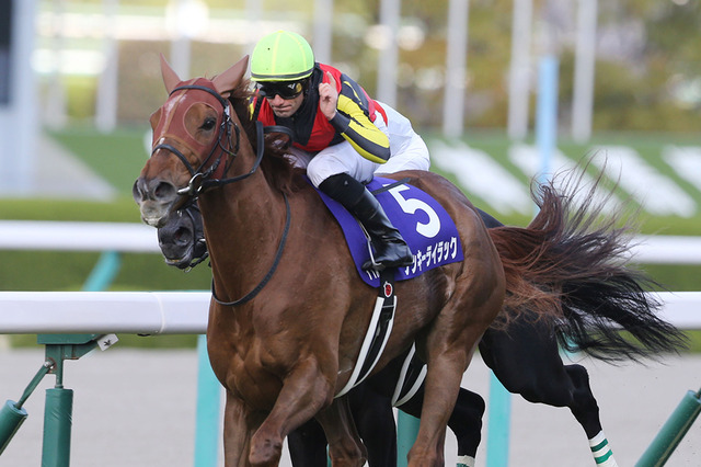 【競馬】フィエールマンやラッキーライラックなど この冬にターフを去る名馬たち 画像