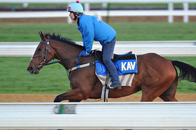 【競馬】「東京新聞杯」ヴァンドギャルドら有力馬追い切りジャッジ&狙える穴馬プラスワン! 画像