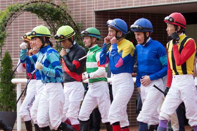 【競馬】「スプリングS」はベテラン騎手に『一発』の可能性 「阪神大賞典」は若手騎手に注目 画像