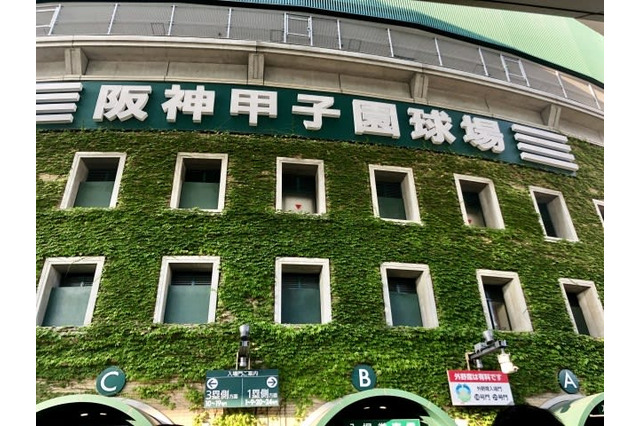 【野球】第93回センバツ、23日の対戦カード・見どころ 屈指の好カード智弁学園vs大阪桐蔭、注目投手小園健太擁する市和歌山が登場 画像