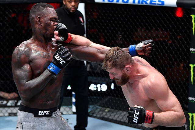 【格闘技】ブラホビッチ、UFCライトヘビー級王座防衛　アデサンヤは2階級制覇ならず 画像