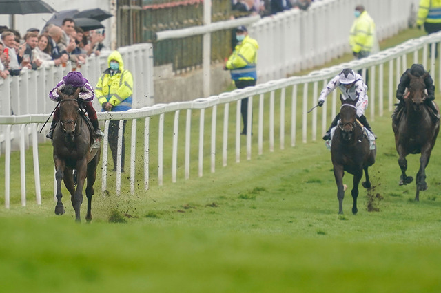 【英オークス】ディープ産駒・スノーフォールが16馬身差の“衝撃”V、現地メディア「アメージング！#ディープインパクト」 画像