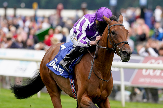 【競馬／ヴェルメイユ賞】ディープ産駒の怪物スノーフォールが前哨戦登場　名牝の蹄跡を辿り、いざ“凱旋門賞制覇“へ 画像