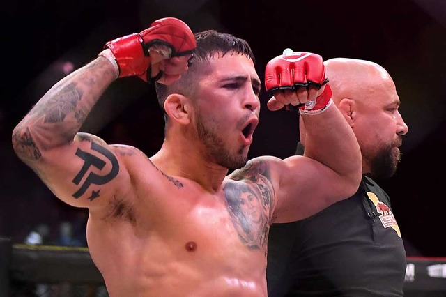 【格闘技／Bellator】堀口恭司を迎え撃つペティスは「アンダードッグではない」　米メディアが重要視したポイントは 画像