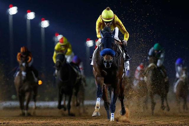 【海外競馬/サウジカップデー】「ルメール祭り」で日本馬V4、ステイフーリッシュやダンシングプリンスが躍動 画像