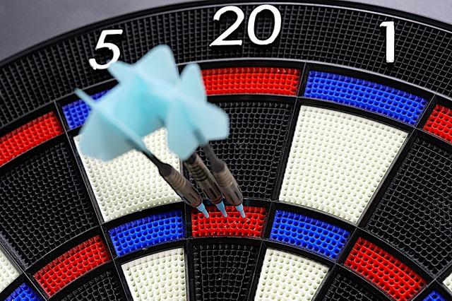 【ダーツ】元会社員王者・有原竜太の連覇なるか　「SOFT DARTS PROFESSIONAL TOUR JAPAN 2023」開幕 画像