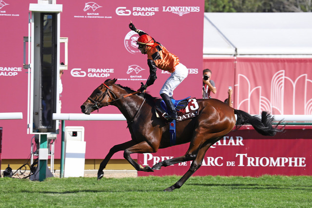 無敗の凱旋門賞馬エースインパクトが電撃引退、種牡馬入り　C.デムーロ「彼は地球外生命体」と賞賛 画像