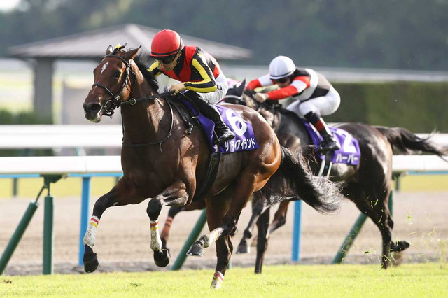 リバティアイランドで7頭目……なぜ「牝馬三冠馬」は誕生しやすいのか？ 画像