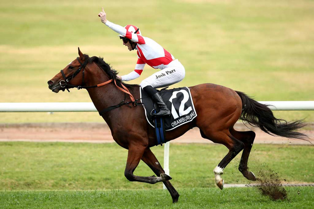 「賞金5億円の大盤振る舞い」日本馬オオバンブルマイ、豪GI・ゴールデンイーグル制覇 画像