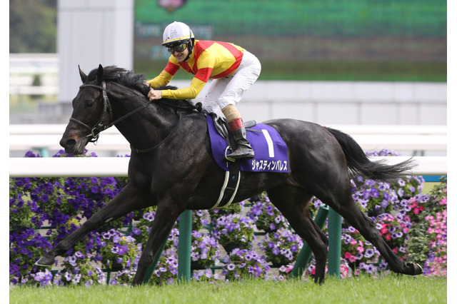 春の天皇賞馬ジャスティンパレスが有馬記念参戦を表明 現在の出走予定馬は? 画像