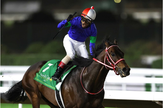 「18億ホース」稀代の個性派・パンサラッサが引退へ　ジャパンCがラストランに 画像