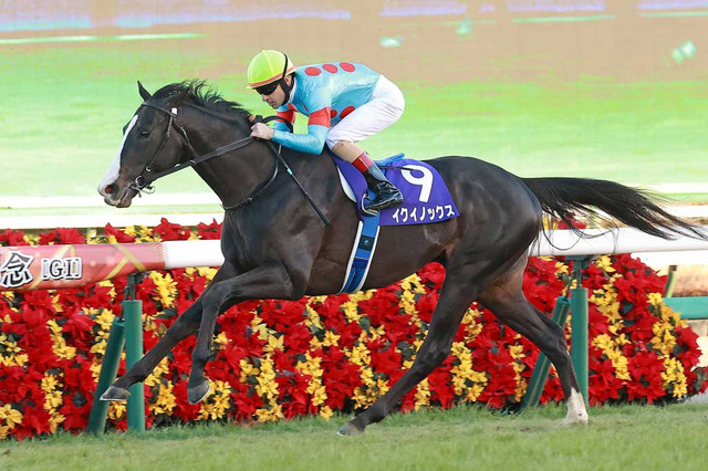 【有馬記念】山本由伸の12年460億円を“2分30秒”で稼ぐ？　ビッグマネーが動く暮れのグランプリ 画像