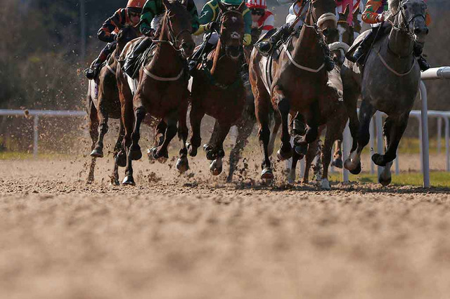 「タルマエの今日もけっぱれ!記念」船橋競馬 『ウマ娘』が全レース名をジャック 画像