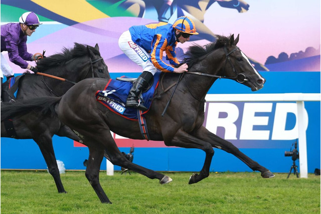 ディープ産駒オーギュストロダン、ドバイシーマクラシックが視野　牝馬三冠リバティアイランドら日本馬と激突か 画像