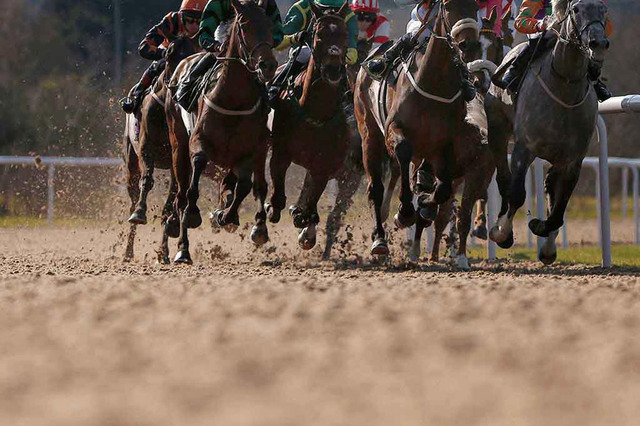 【フェブラリーS／馬場情報】“パサパサ”の東京ダート　パワー優先で好走馬の共通項は… 画像
