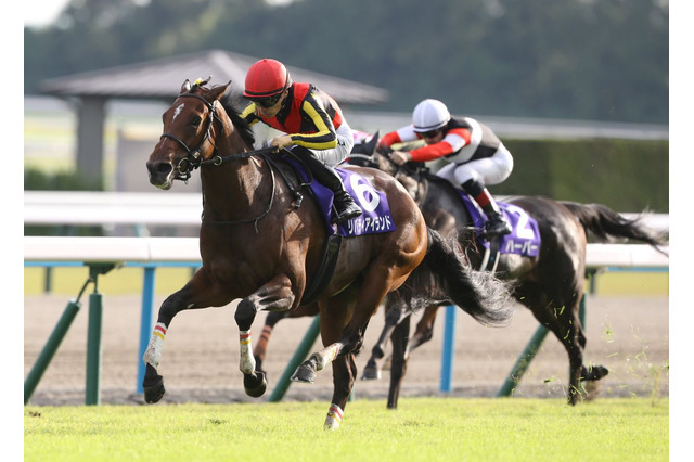 【ドバイシーマC／3連単24点】2017年以降1人気の勝利「1回のみ」で“過信禁物”　堅実2頭軸マルチで攻略 画像