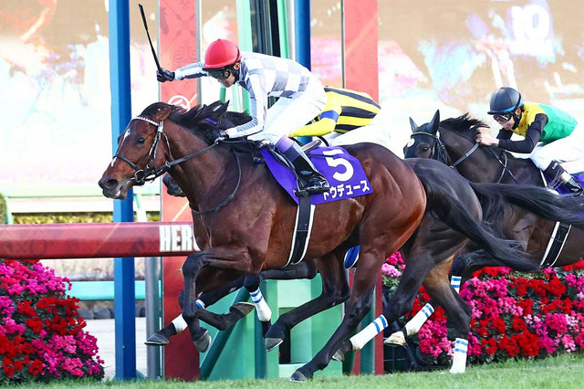 【ドバイターフ／馬単7点】「ドウデュース以上のベスト舞台」　“妙味たっぷり”のここでGI初制覇も視野 画像