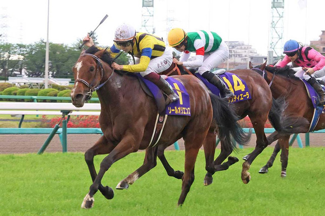 【皐月賞2024特集】出走予定・枠順、予想オッズetc.　人気上位馬の追い切り評価『S』と『B』で真っ二つ　お役立ち馬券攻略ガイド 画像