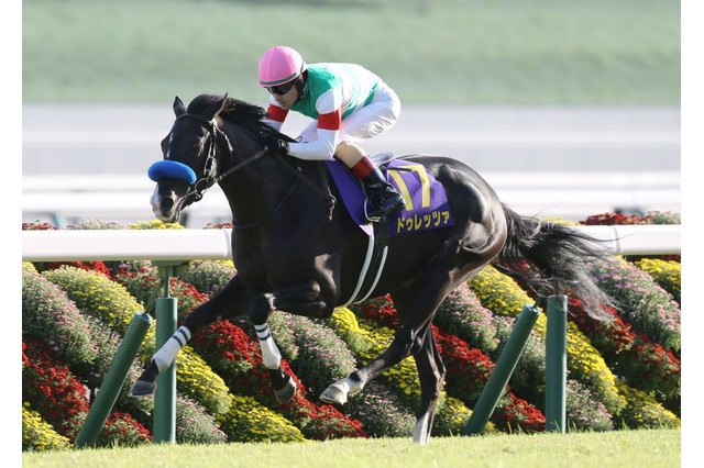 【天皇賞春／馬場情報】テーオーロイヤルよりドゥレッツァに向く「やや硬め」寄り　4歳“菊組”の巻き返しに警戒 画像