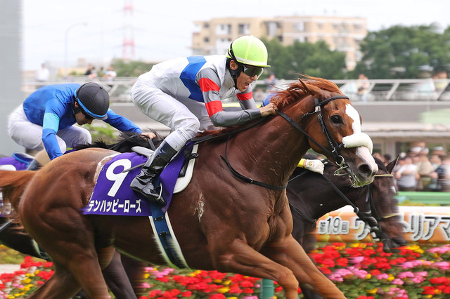 4億4千万円の片棒を担いだブービー人気テンハッピーローズ、世紀の“一発大駆け”はいかにして生まれたか【ヴィクトリアマイル】 画像