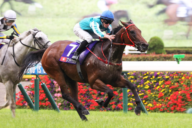 外国馬を苦しめた日本の高速馬場を“一発回答” ロマンチックウォリアー勝利の裏にある「国内マイル戦線の空洞化」【安田記念】 画像