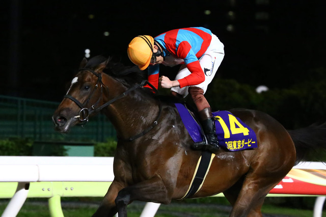 【東京ダービー】「もっと上に行く馬」三浦皇成・ラムジェット、上がり最速で先行押し切り“文句なし”の4連勝 画像