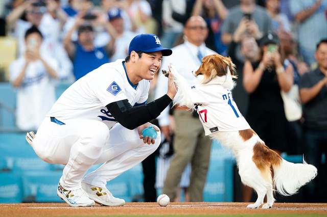 【MLB】「キュートでお利口さん」始球式にデコピンが登場、マウンドから捕手役・大谷翔平のもとへボール届ける　最後はハイタッチで大役果たす 画像
