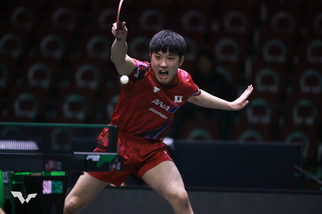 張本智和は世界7位との“エース対決”実現なるか 世界19位の戸上隼輔はドイツの35歳レジェンドとの初陣へ【WTTチャンピオンズ 重慶】 画像