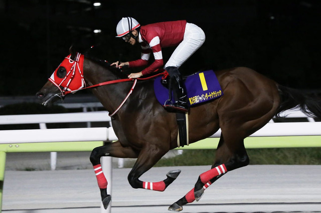 【ジャパンダートクラシック】フォーエバーヤングが世界トップレベルの走りで完勝　“瑠星コール”が鳴り響く 画像