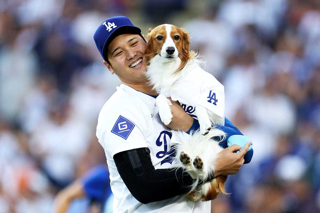 【MLB】大谷翔平の愛犬デコピン、決戦の地へ向かう背番号「17」の球場入りにド軍ファンも奮起「俺たちにはデコイがついている」 画像