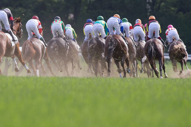【秋華賞／馬場情報】高速馬場で「前残り」連発　チェルヴィニアは届くのか……警戒すべき“単勝オッズ2桁”の逃げ・先行馬 画像